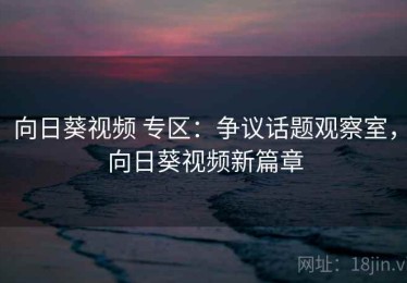 向日葵视频 专区：争议话题观察室，向日葵视频新篇章