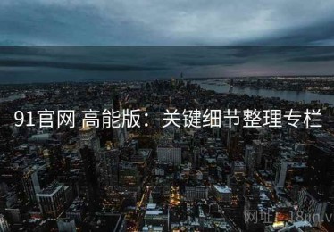 91官网 高能版：关键细节整理专栏