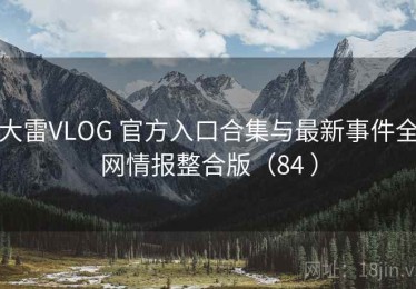 大雷VLOG 官方入口合集与最新事件全网情报整合版（84 ）