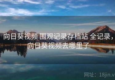 向日葵视频 围观记录存档站 全记录，向日葵视频去哪里了