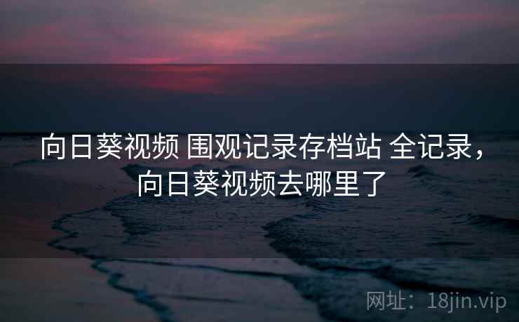 向日葵视频 围观记录存档站 全记录，向日葵视频去哪里了