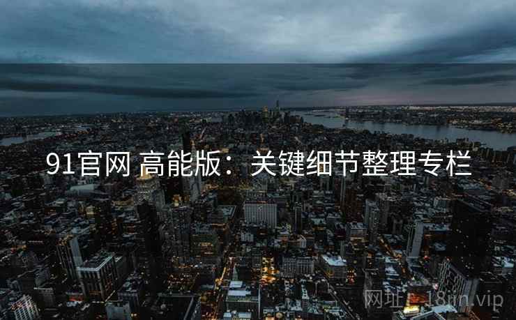 91官网 高能版：关键细节整理专栏